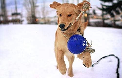 Jolly Pets JOLL050F Hundespielzeug Ball Romp-n-Roll, 15 cm, blau 15,2 cm blau, 15,2 cm blau