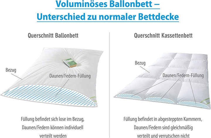 franknatur - Ballonbett 155x220 Winterdecke 30% Neue Gänsedaune 3000g - Bettdecke 155 x 220 cm, 155
