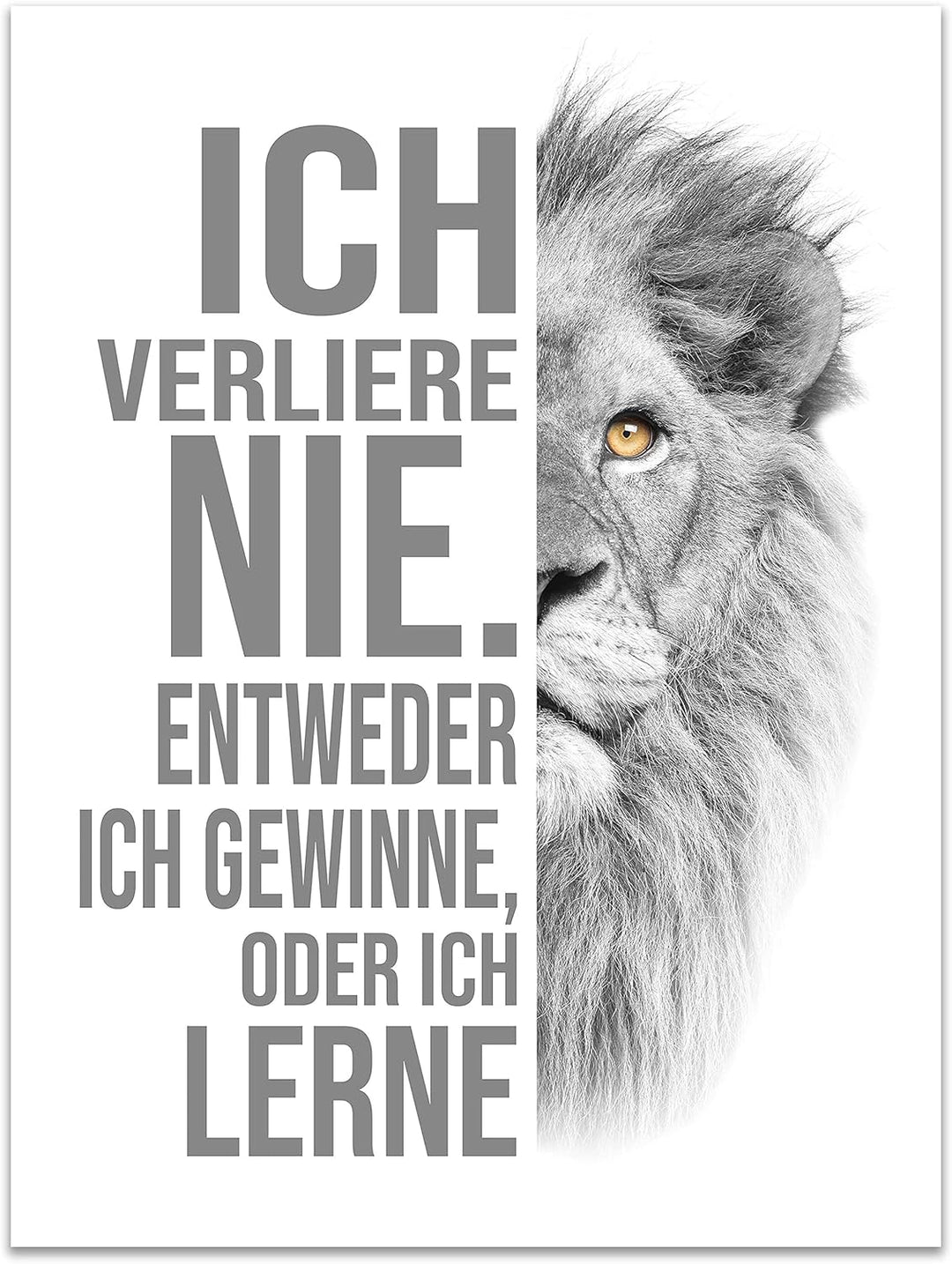 wandmotiv24 Poster als Wanddeko, Grösse 80x60cm, ich verliere nie, Weiss, Löwe, Moderne Wanddeko, Wa