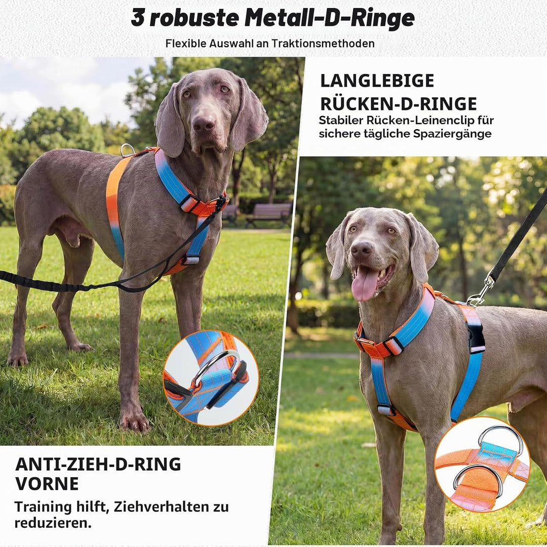 Hundegeschirr Mittelgrosse Grosse Hunde, Anti Zug Brustgeschirr Verstellbar mit Front Clip, Taktisch