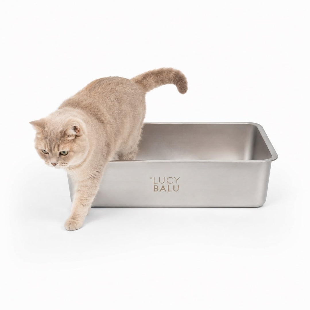 LucyBalu® STEELOO Edelstahl Katzenklo geruchsfrei | XXL-Katzentoilette aus Edelstahl | offenes Katze