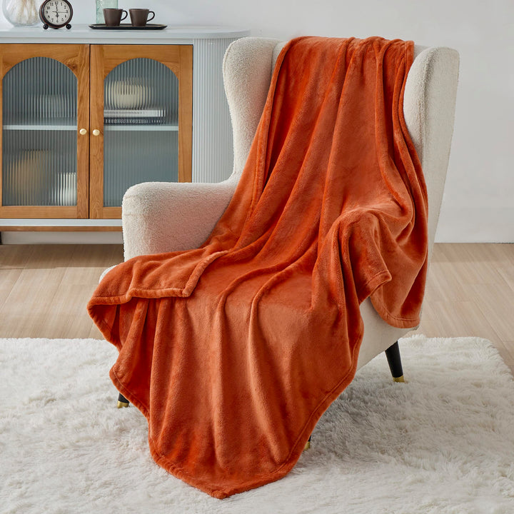 BEDSURE Kuscheldecke Flauschig Decke Fleecedecke - Wohndecke Warm Winter Weich, Sofadecke Kleine, De