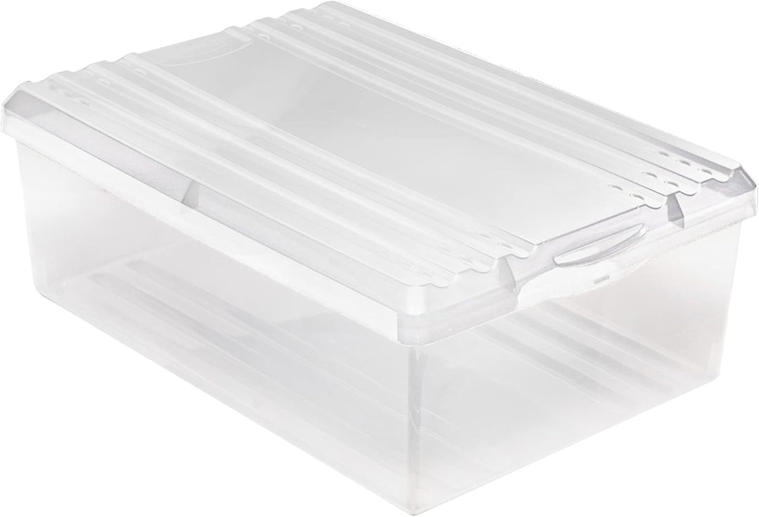 BranQ - Home essential Schuhbox Shoe Box mit Belüftungshaltelöcher und Deckel Kunststoff, 8l, Set vo