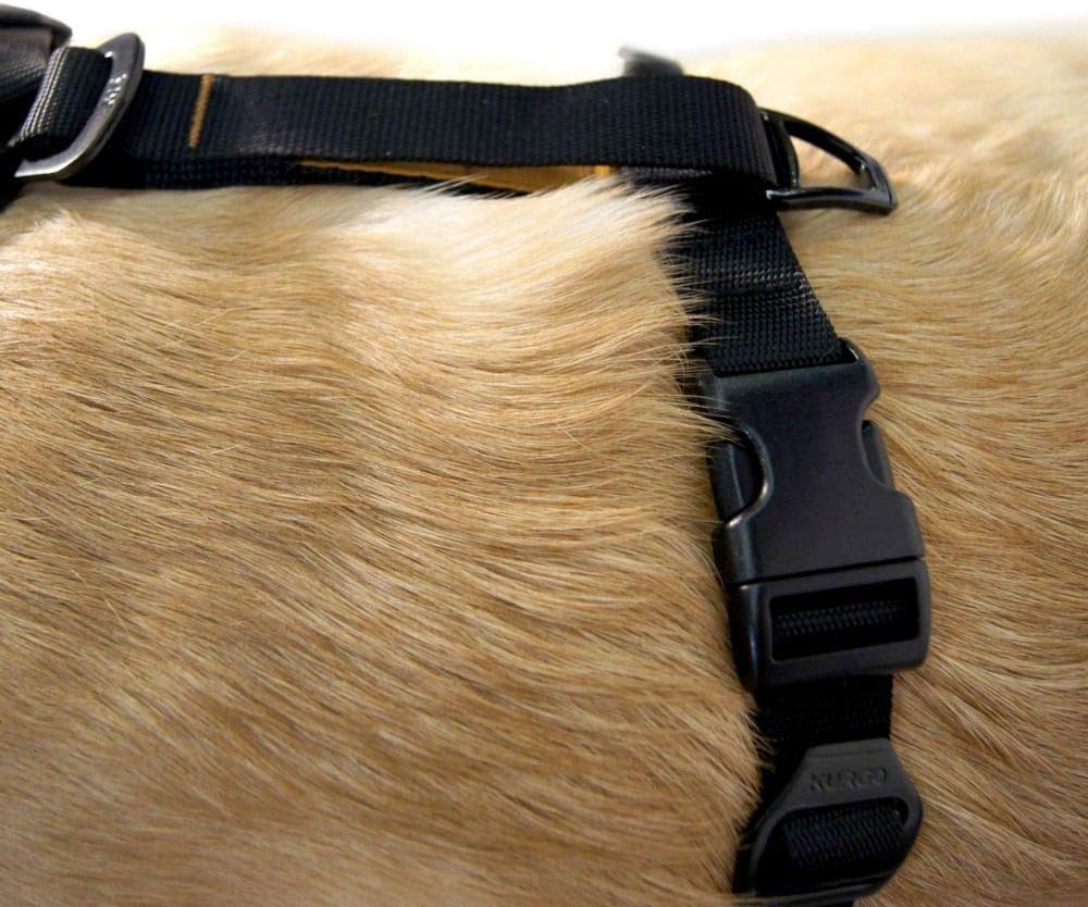 Kurgo Tru-Fit Smart Hundegeschirr, Mit gepolstertem Brustteil und D-Ring, Inklusive Autosicherheitsg
