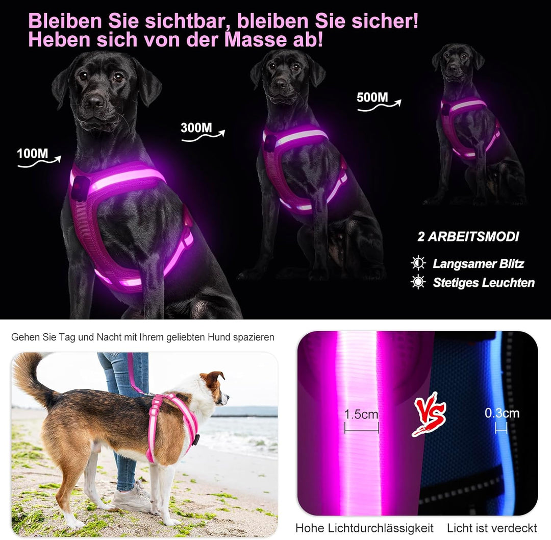 Hundegeschirr Leuchtend, Leuchtgeschirr für Hunde Aufladbar, Leuchtendes Hundegeschirr LED, Leucht G