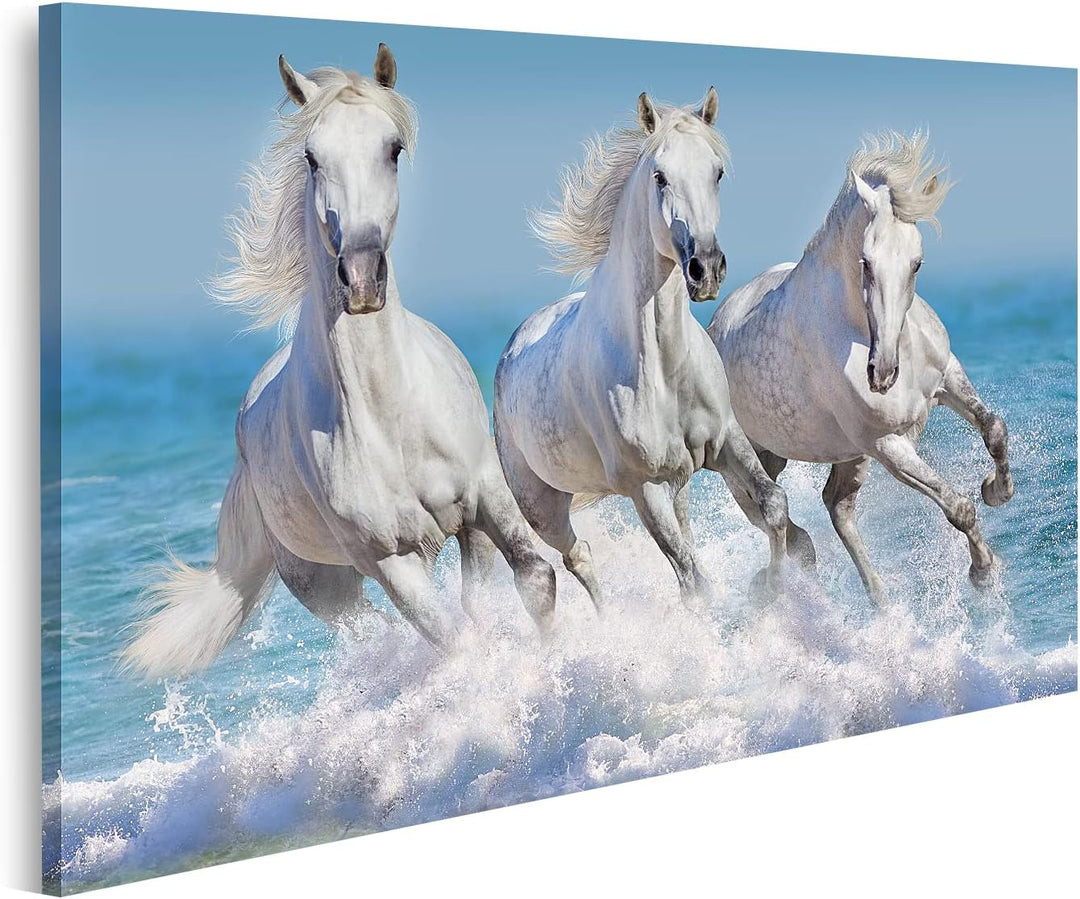 islandburner Bild auf Leinwand Pferde Wasser Weisses Pferd Herde Kinderzimmer Reiten Bilder Wandbild