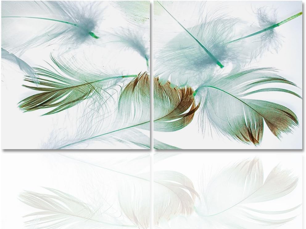 Feeby. Wandbilder - 2 Teile - 140x70 cm - quadratische Form Bilder Kunstdrucke Deko Panel FEDERN, WE