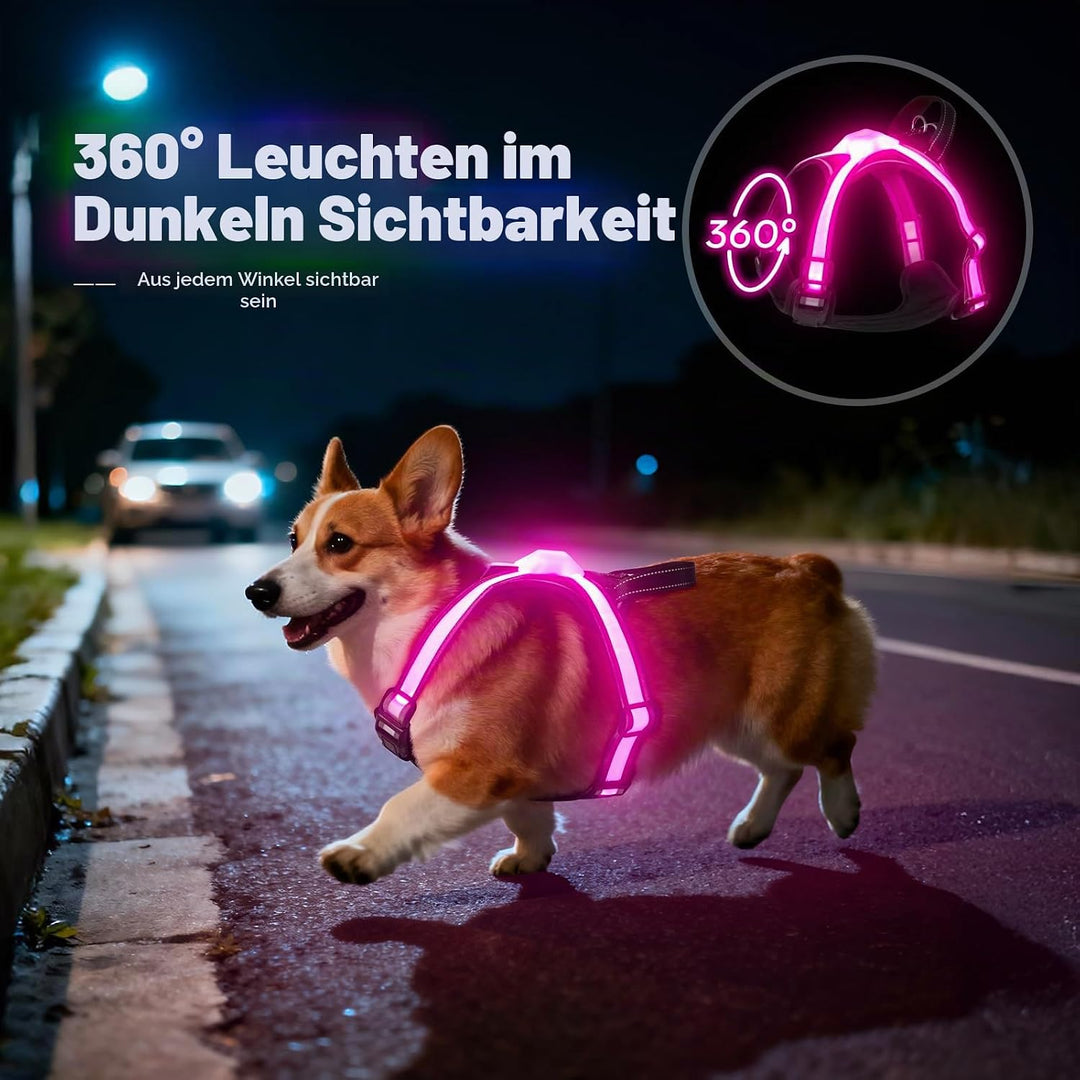 LED Hundegeschirr Leuchtend, Multicolor Reflektierendes Leuchthundegeschirr für Nacht, USB-C Wiedera