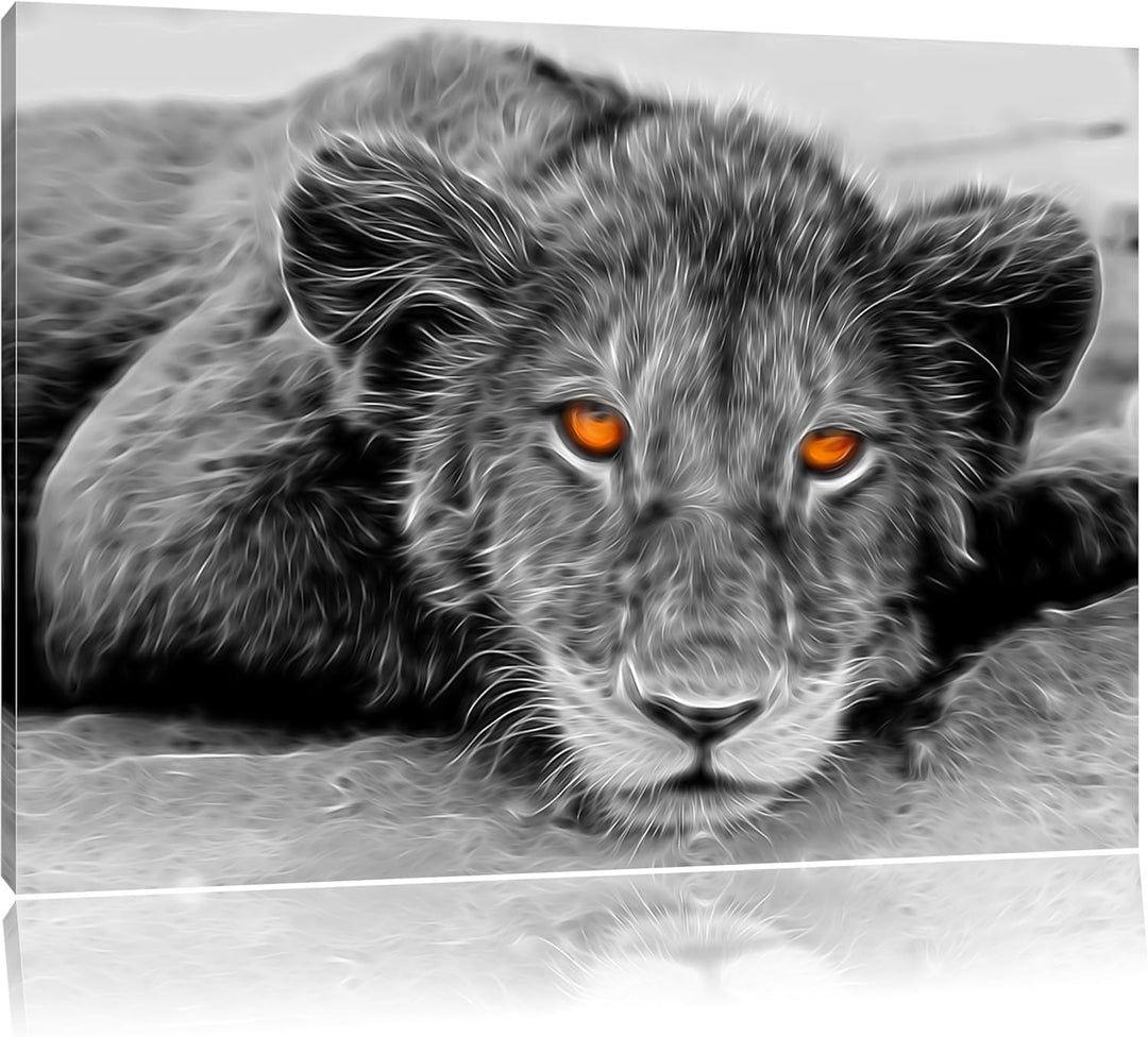 wachsamer junger Löwe schwarz/weiss Deluxe Format: 100x70 cm auf Leinwand, XXL riesige Bilder fertig