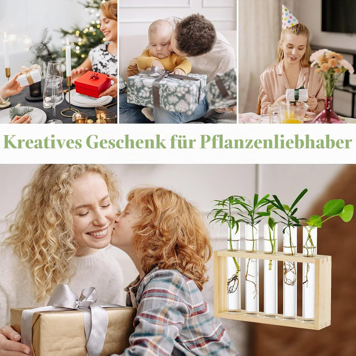 Modern Blumenvase Kleine Vasen Deko Set Vintage Glas Reagenzgläser Für Blumen Mit Ständer Holz Propa