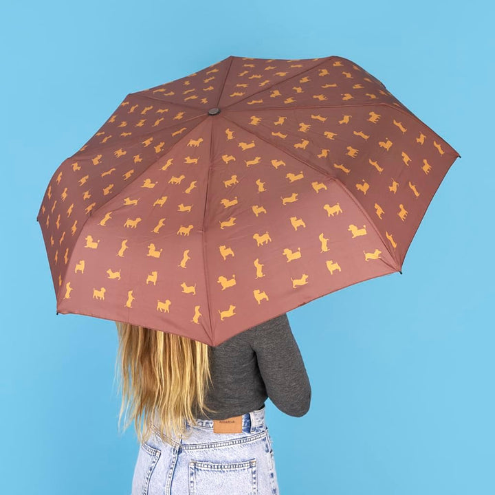 balvi Regenschirm Puppymbrella Farbe Braun Inklusive Neoprenhülle in Form eines Hundes Aus Nylon