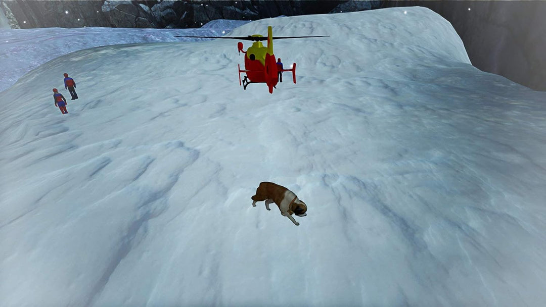 Mountain Rescue Simulator