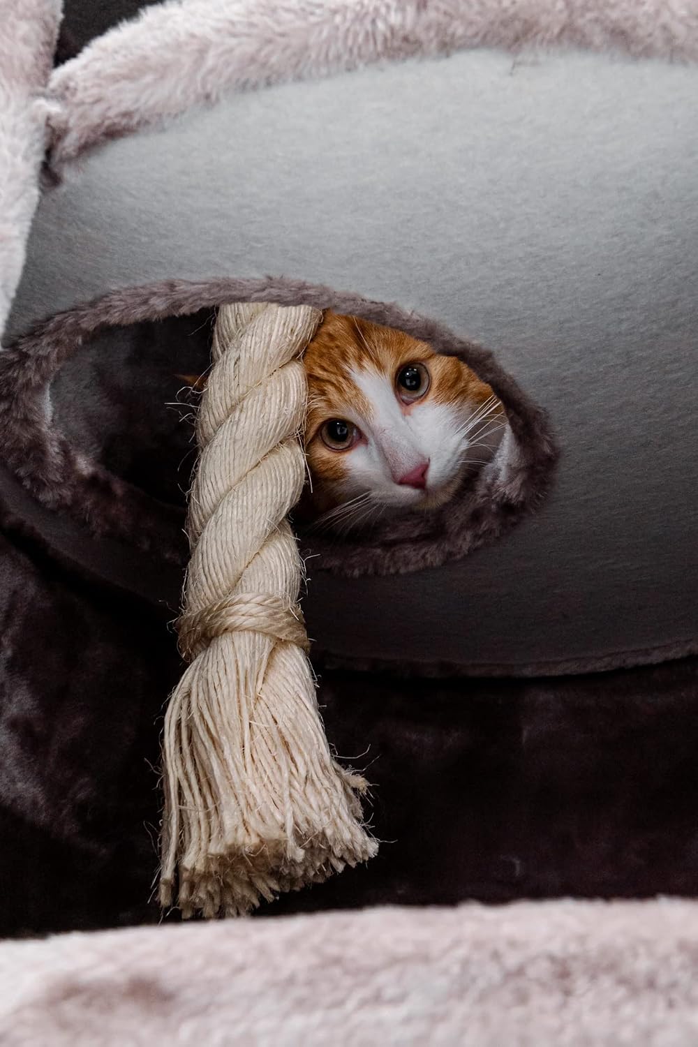 Petrebels Kratztonne XXL Superdome 120 cm hoch, Ø 50 cm, Design Kratztonne für grosse Katzen, extra