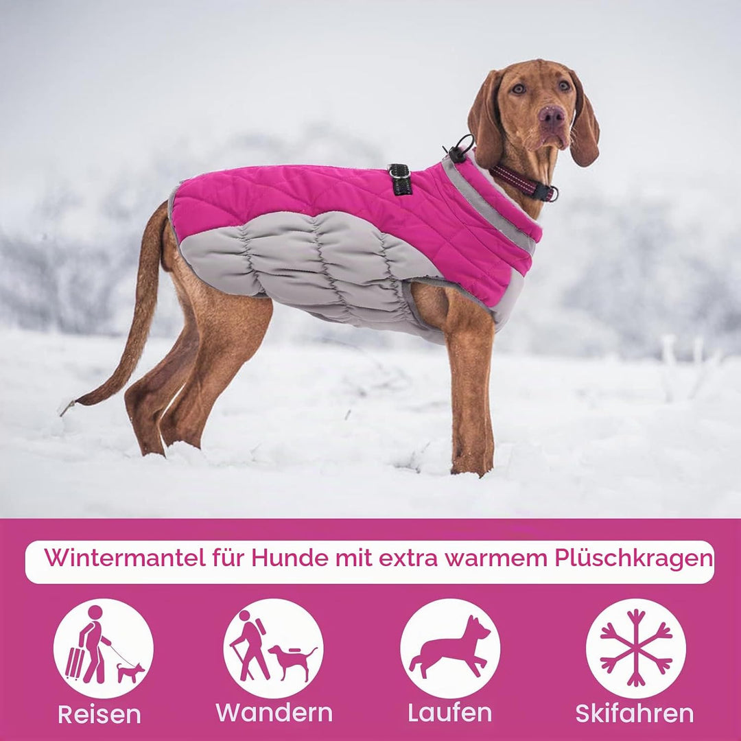 Kuoser Hunde-Wintermantel, wasserdicht, kaltes Wetter, warme Jacke für kleine, mittelgrosse und gros