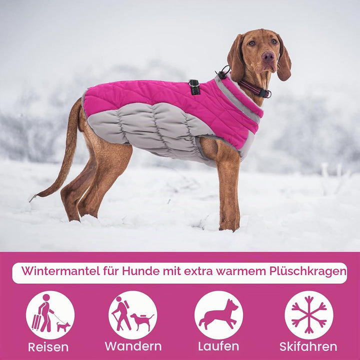 Kuoser Hundejacke Wintermantel für Grosse Hunde - Wasserdichte Winterweste Mit Geschirr - Warme Jack