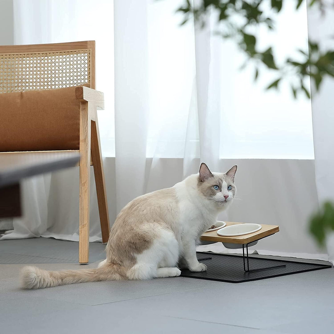 FUKUMARU Katzennapf Erhöht, 15° gekippte Futternapf für Katzen, mit rutschfestem Bambus und Metallha