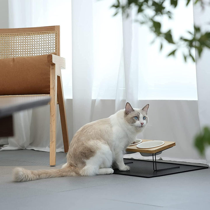 FUKUMARU Katzennapf Erhöht, 15° gekippte Futternapf für Katzen, mit rutschfestem Bambus und Metallha