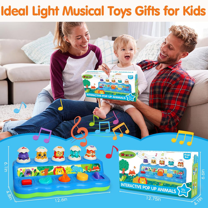 Baby Spielzeug ab 1 Jahr, Pop up Baby Montessori Spielzeug 6 7 8 9 10 12 18 Monate Mädchen Junge mit