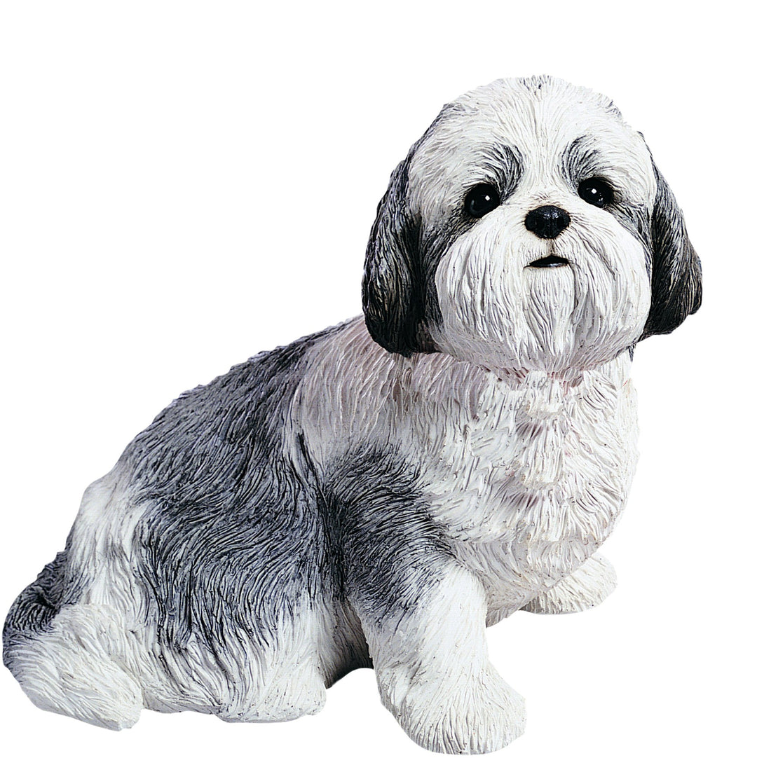 Sandicast Shih Tzu Figur lebensgross sitzend silber weiss Life Size Gold und weiss, Shih Tzu, Life S