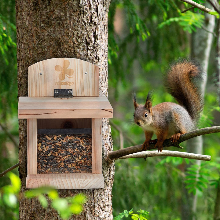 Relaxdays Eichhörnchen Futterhaus, FSC-zertifiziertes Holz, Klappdach, Belüftungslöcher, Futterstati