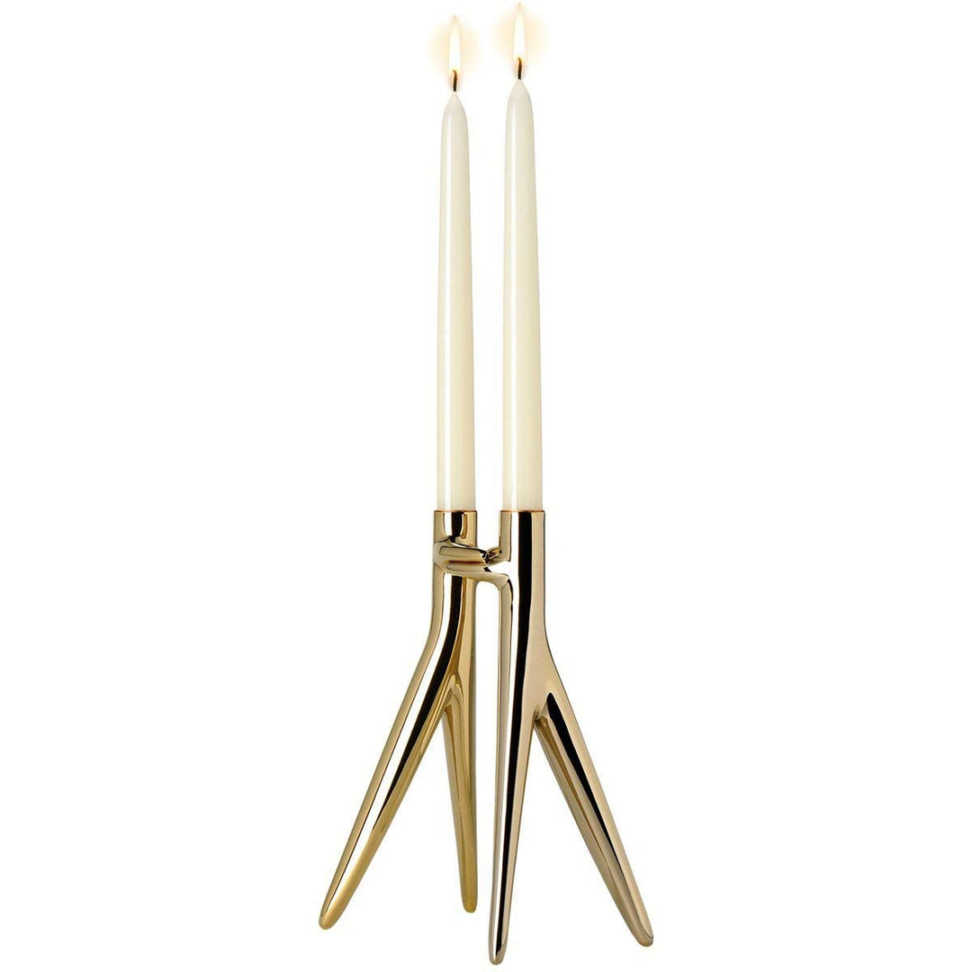 Kartell 1956GG Abbracciaio Oro, Oro