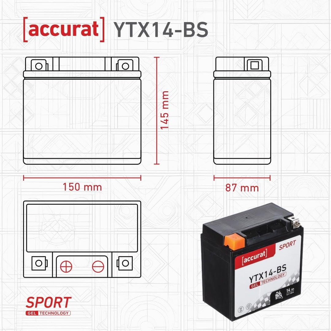 Accurat Motorradbatterie YTX14-BS 14Ah 200A 12V Gel Technologie Starterbatterie in Erstausrüsterqual
