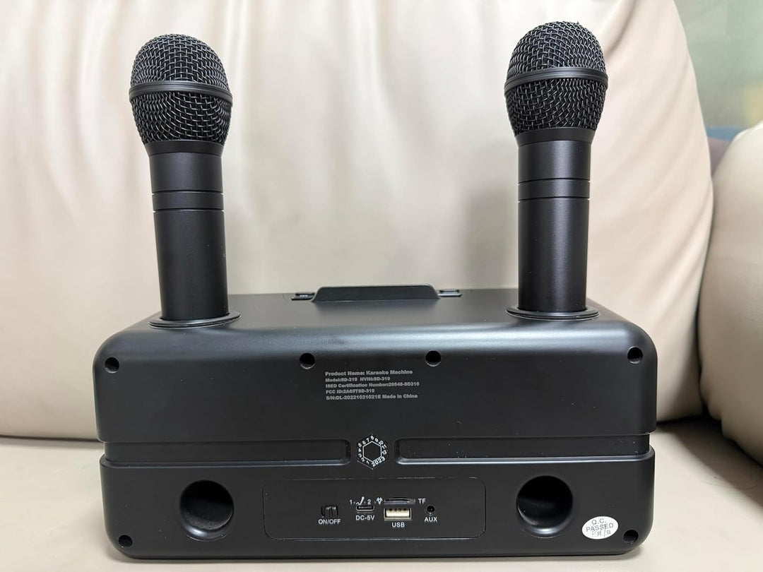 Tragbarer Karaoke Maschine,Karaoke mit 30W Bluetooth Lautsprecher,2 Kabellosen Karaoke-MikrofonWiede