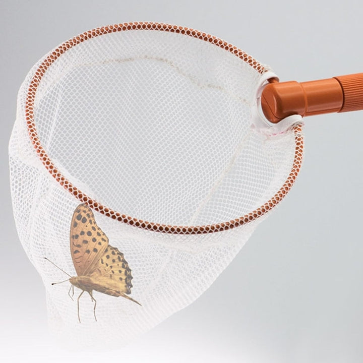 Kescher mit Teleskoparm und Insektenbox mit extra Lupenheft