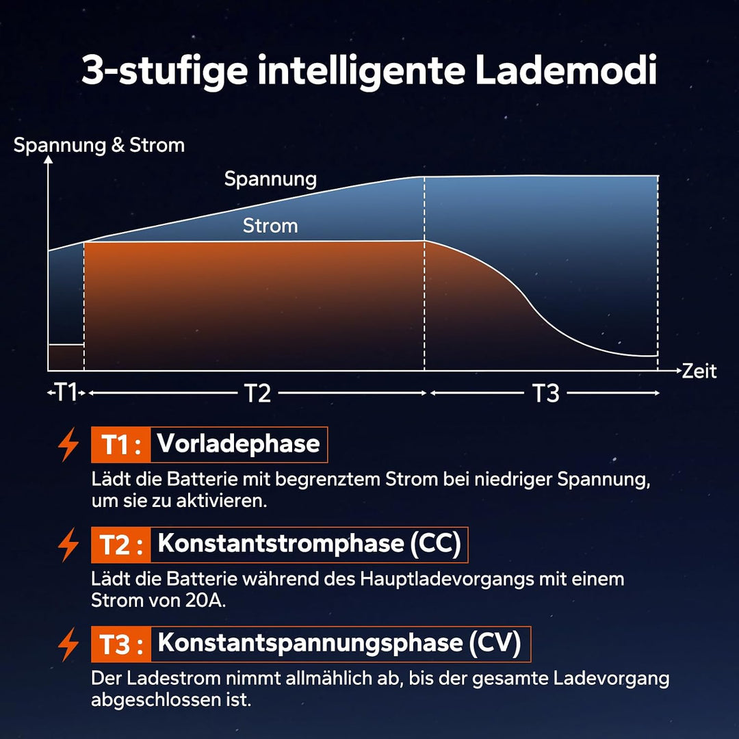 LiTime 14.6V 20A Lithium Batterieladegerät 12V LiFePO4 Batterieladegerät AC-DC Smart Charger mit And