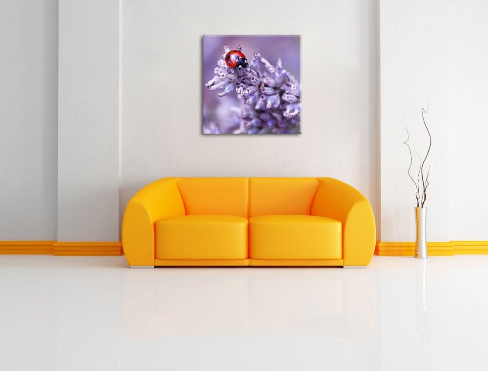 Pixxprint Kleiner Marienkäfer auf Lavendel als Leinwandbild/Grösse: 70x70 cm/Wandbild/Kunstdruck/fer