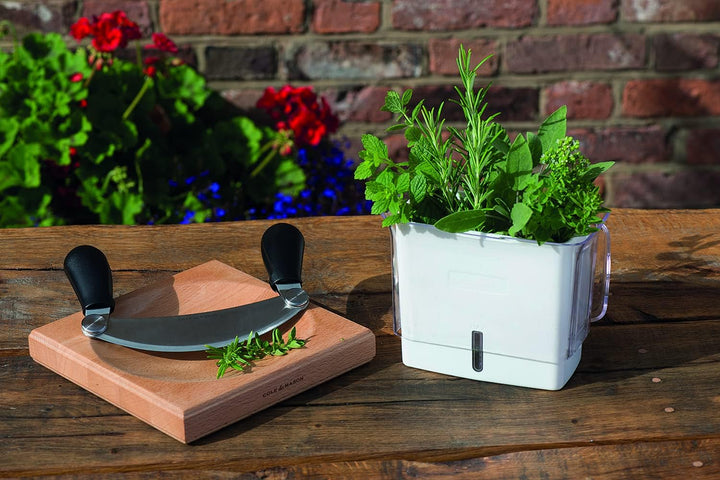 Cole & Mason H105549 Woodhall Wiegemesser und Schneidebrett, Kräuterhacker Rocker/Frischkräuterschne