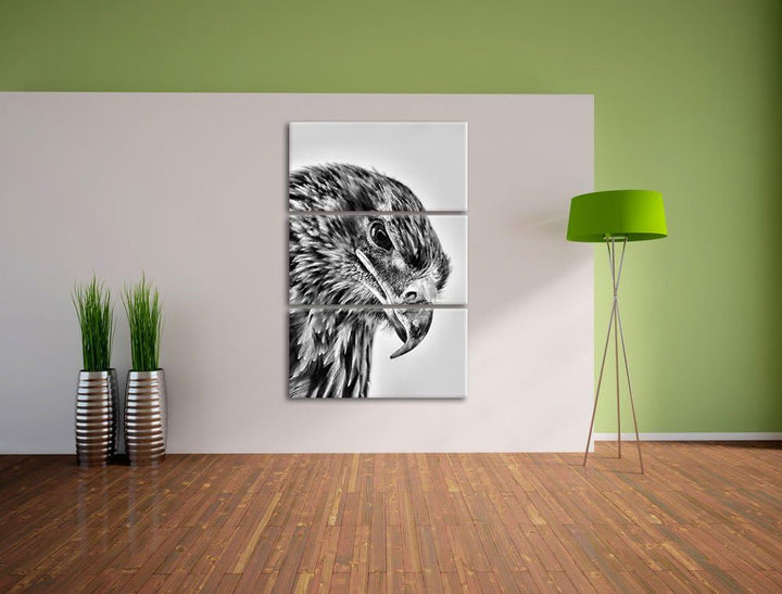 Pixxprint Adler Porträt als Leinwandbild/Grösse: 3 Teilig (120x80) / Wandbild/Kunstdruck/fertig besp