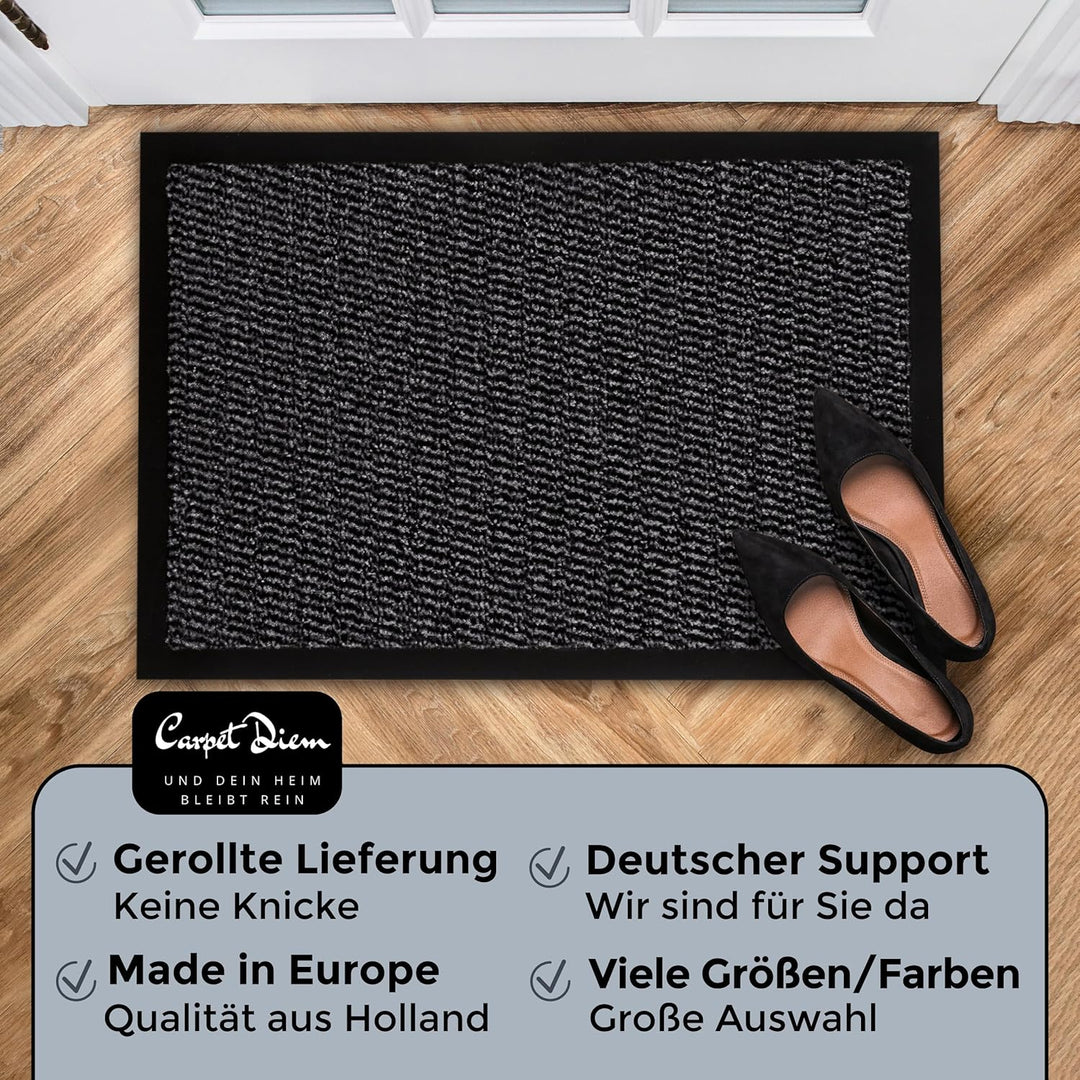 Carpet Diem Fussmatte, einfach sauber | Schmutzfangmatte Eingangsbereich - Fussmatte Innen & Aussen,