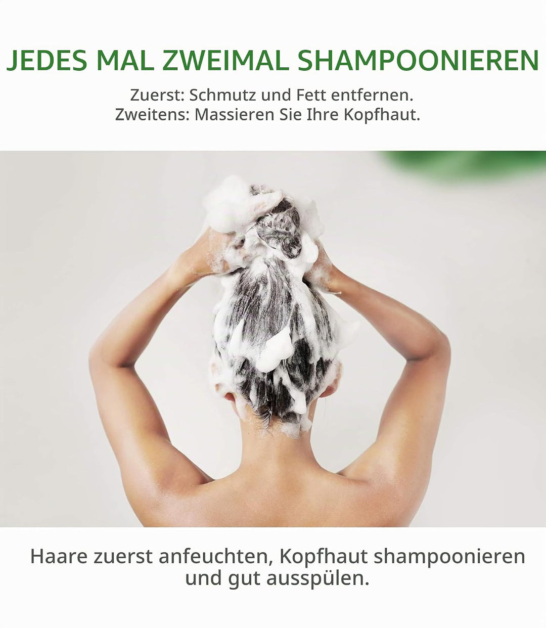 AROMASE Anti-Oil Essential Shampoo - Effektiv bei schnell fettendem Haar &amp; fettiger Kopfhaut, reguli