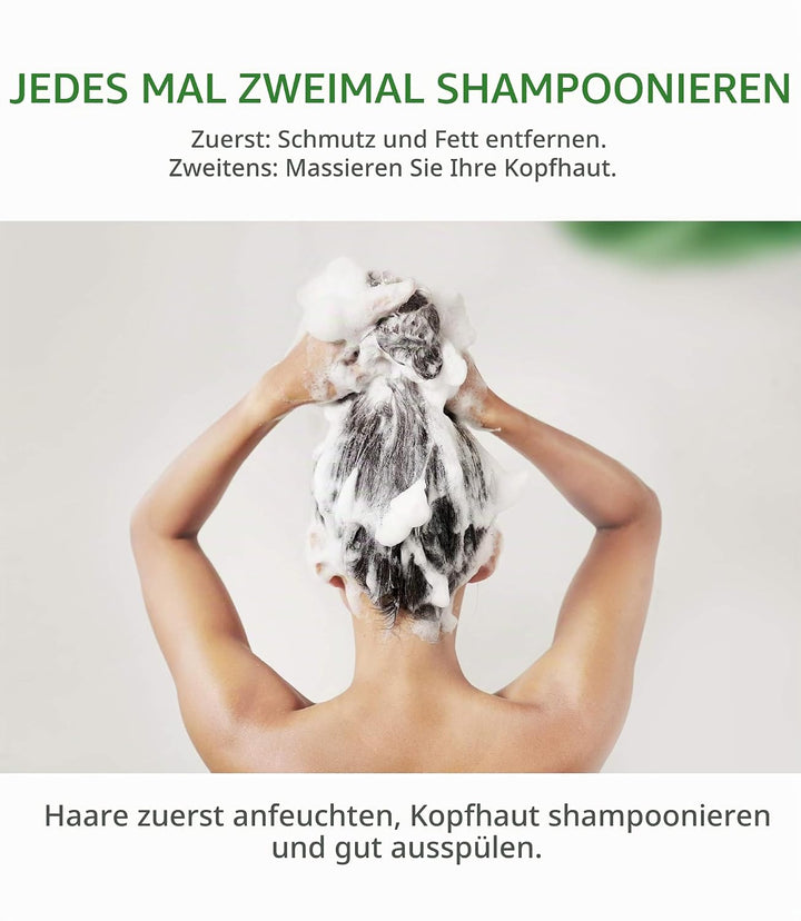 AROMASE Anti-Oil Essential Shampoo - Effektiv bei schnell fettendem Haar &amp; fettiger Kopfhaut, reguli