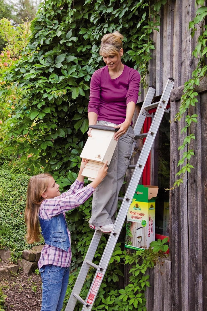 Neudorff 33432 Fledermausquartier