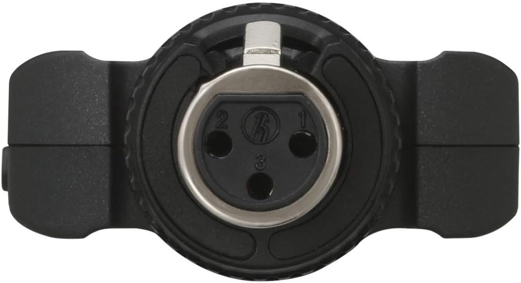 Tascam DR-10X – Audiorecorder zum Aufstecken auf ein Mikrofon, Schwarz Single, Single