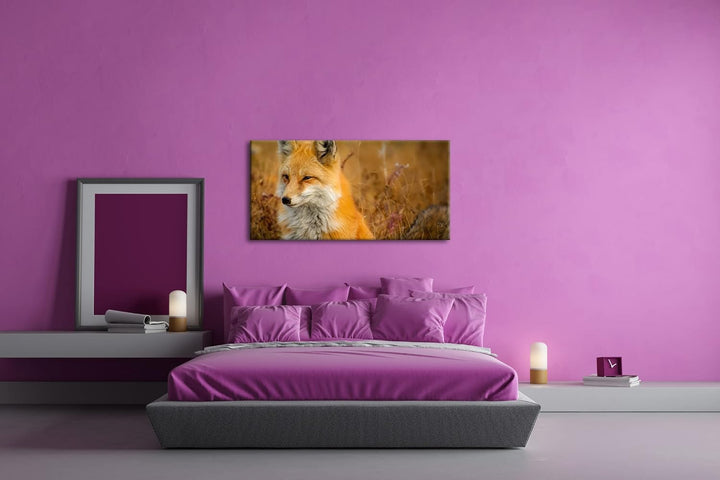 majestätischer Fuchs Panorama 80x40 cm als Leinwandbild, Motiv fertig gerahmt auf Echtholzrahmen, Ho