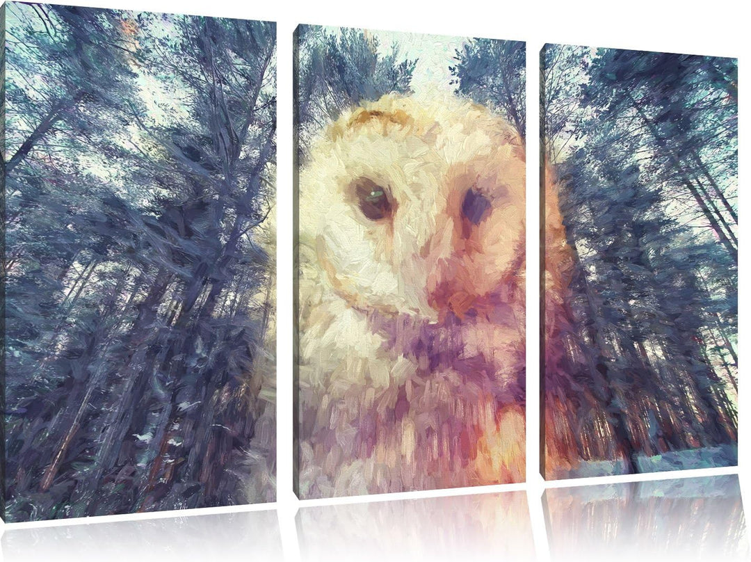 Pixxprint Portrait Einer Eule als Leinwandbild/Grösse: 3 Teilig (120x80) / Wandbild/Kunstdruck/ferti