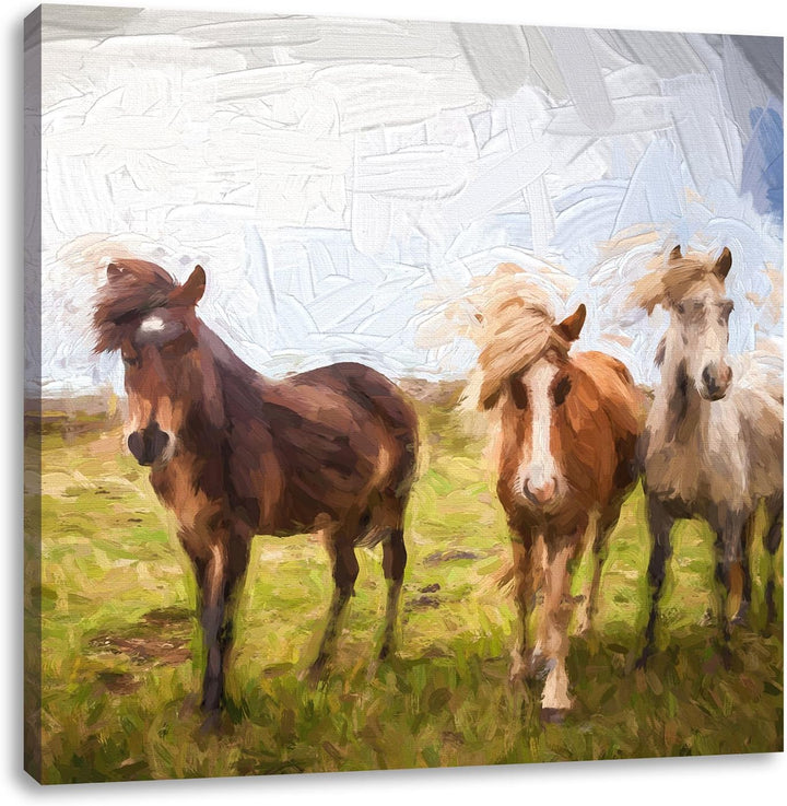 Pixxprint DREI Wilde Islandpferde Pinsel Effekt, Format: 70x70 auf Leinwand, 70x70