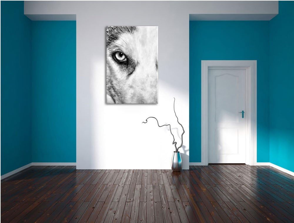 Pixxprint Husky mit Eisblauen Augen / 100x70cm Leinwandbild bespannt auf Holzrahmen/Wandbild Kunstdr