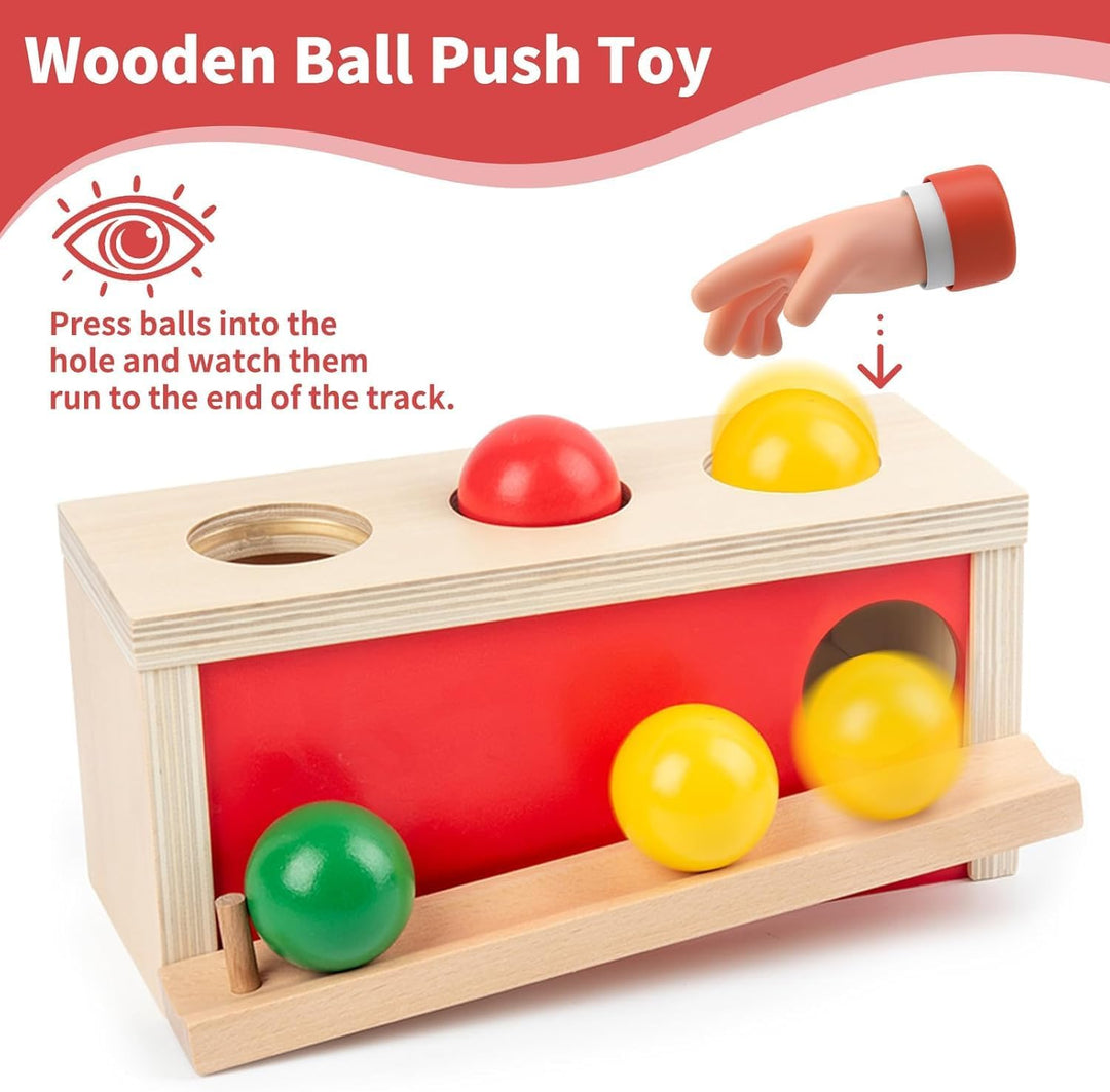 Montessori Spielzeug ab 1 Jahr, Baby Holzspielzeug ab 9 Monate, Objektpermanenz Box für Baby 12-18 M