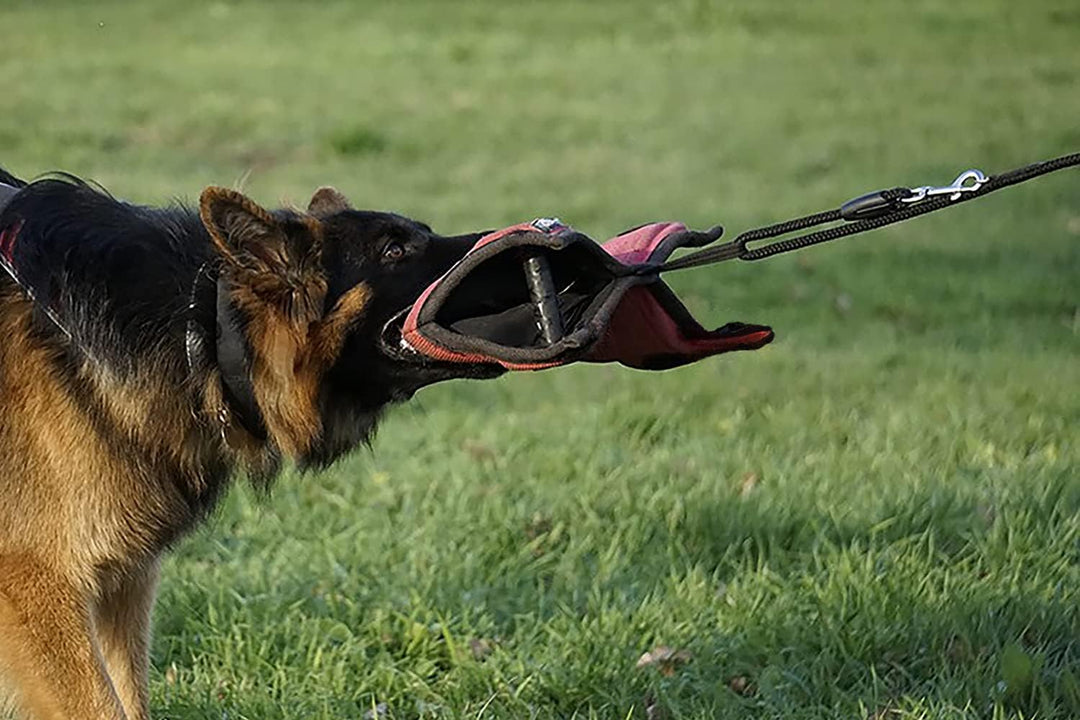 Dingo Gear Beisskissen,Beisswurst für Welpen aus Nylcot mit 2 Griffe Rot Hard Hundetraining S00708 R