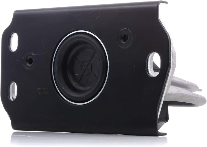 Delphi Lagerung Motor TEM043