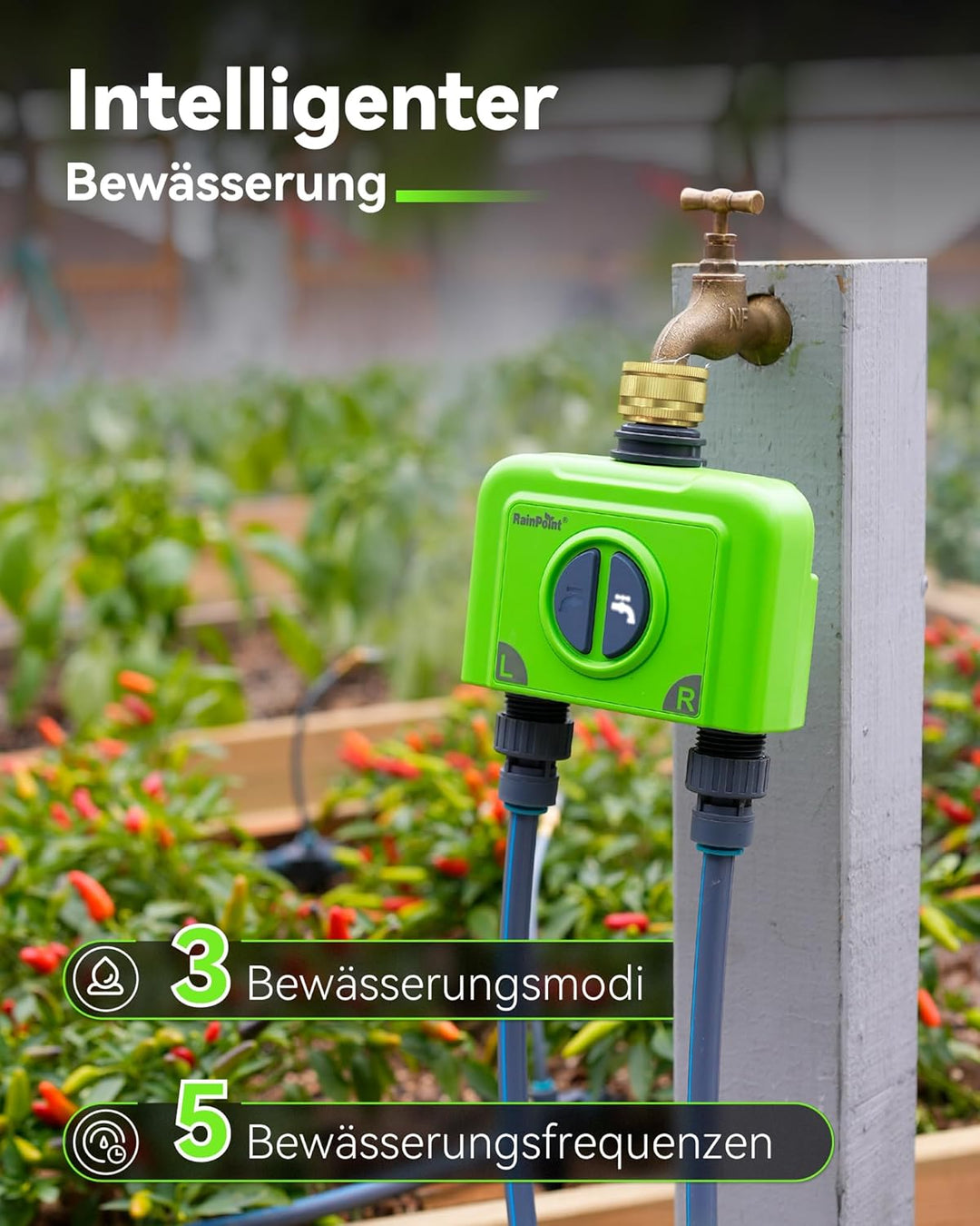 RAINPOINT Bewässerungscomputer WLAN 2 Ausgänge ohne Antennen-Gateway, Muss mit HWG023/HWG040 Gateway
