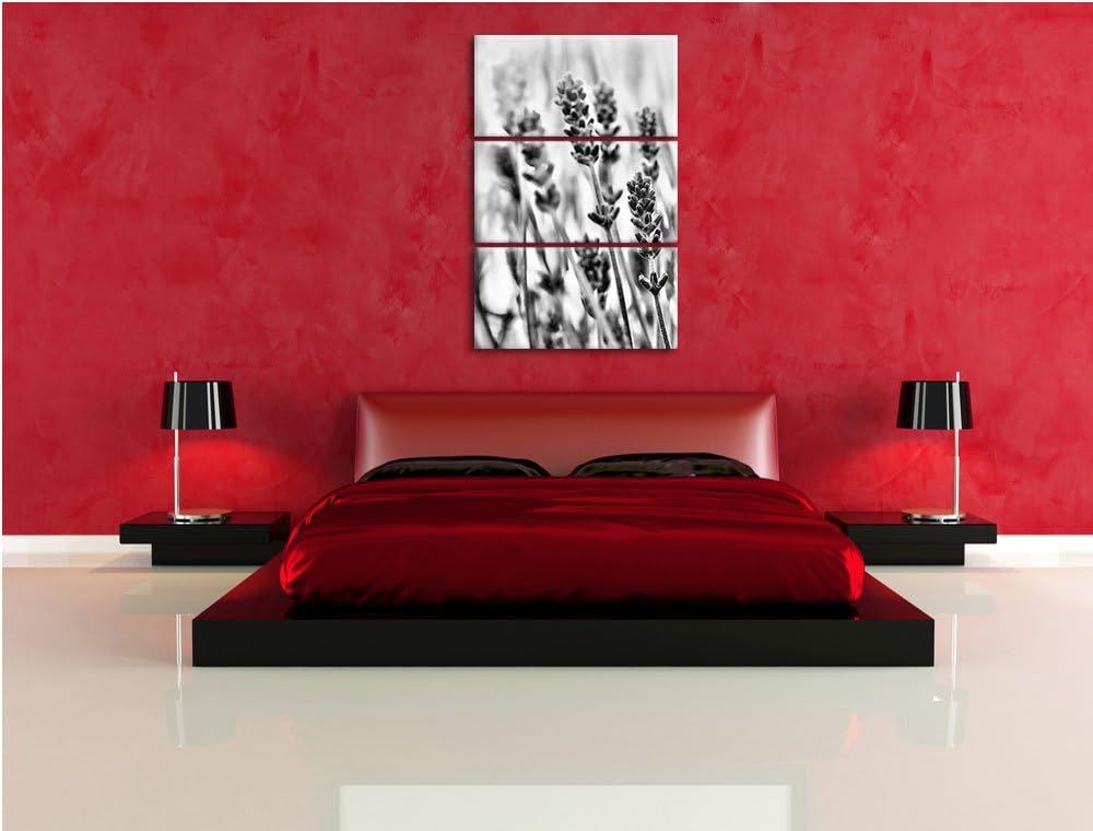 Pixxprint Lavendel als Leinwandbild/Grösse: 3 Teilig (120x80) cm/Wandbild/Kunstdruck/fertig bespannt