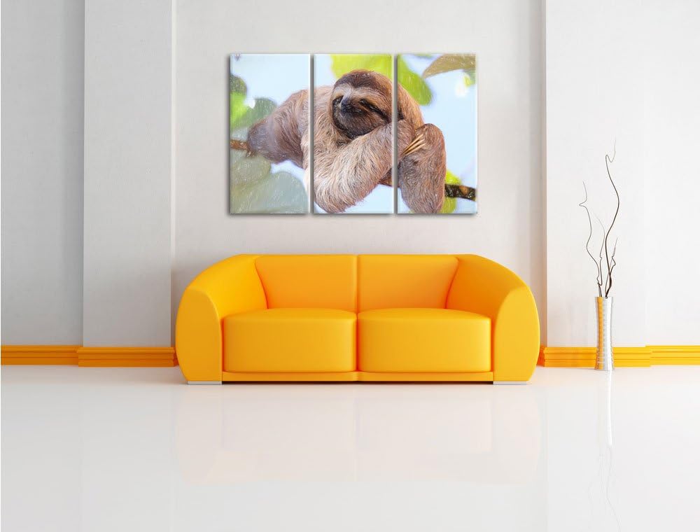 Pixxprint schönes Faultier hängt von AST Kunst Buntstift Effekt 3-Teiler Leinwandbild 120x80 Bild au