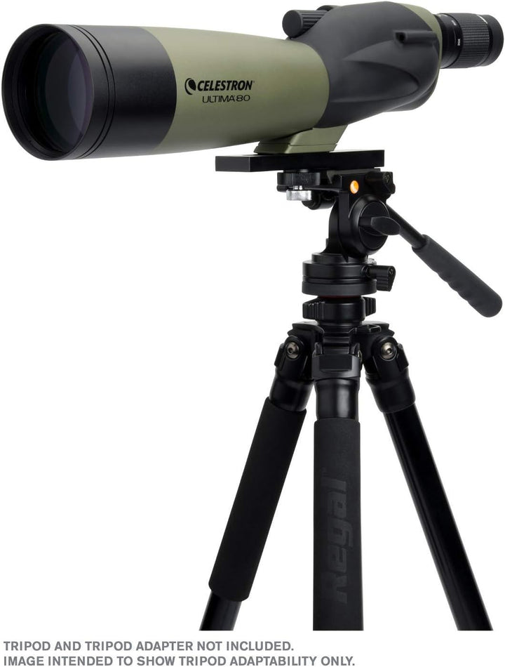 Celestron 52254 80 mm Ultima Spektiv gerade Ultima 80 – Gerade, Ultima 80 – Gerade