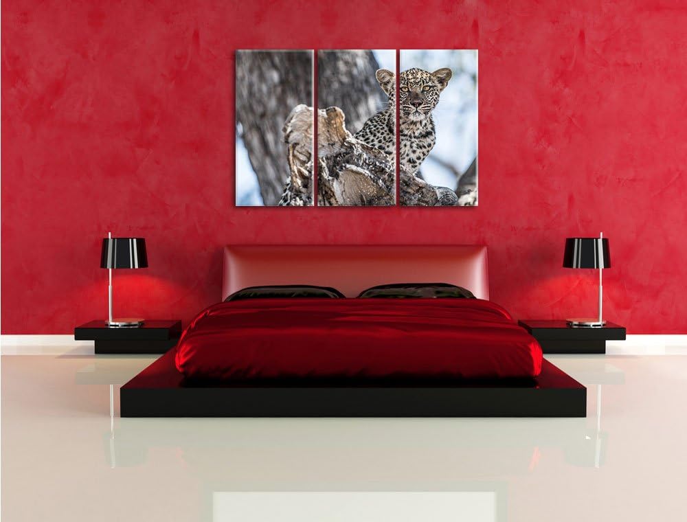 Pixxprint Neugieriges Leopardjunges auf Baum 3-Teiler Leinwandbild 120x80 Bild auf Leinwand