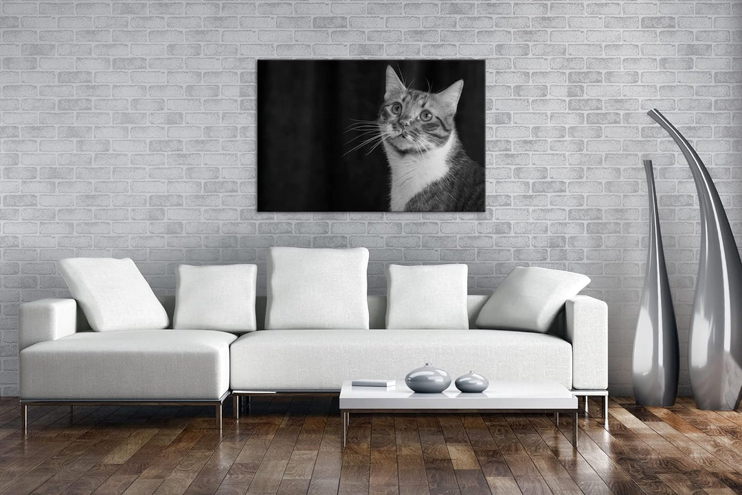 deyoli rot-weiss gefleckte Fellnase Format: 80x60 als Leinwand, Effekt: Schwarz&Weiss, Motiv fertig